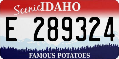 ID license plate E289324