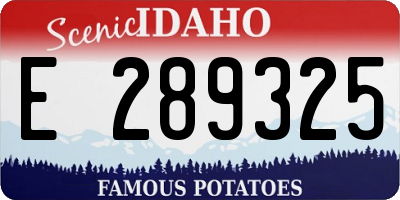 ID license plate E289325