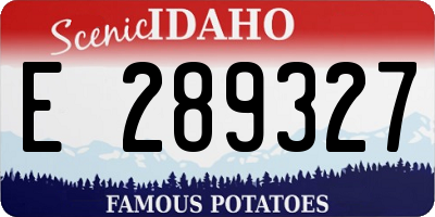 ID license plate E289327
