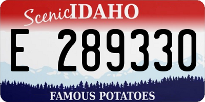 ID license plate E289330