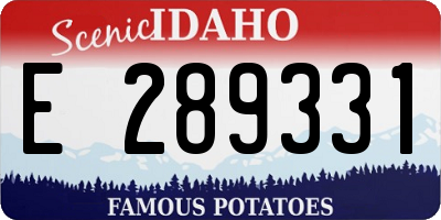 ID license plate E289331