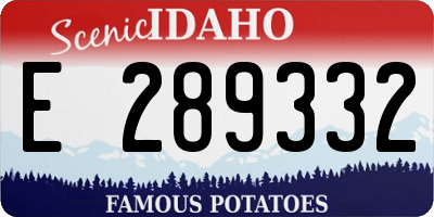 ID license plate E289332