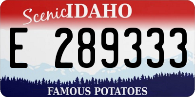 ID license plate E289333
