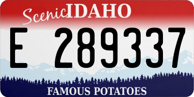 ID license plate E289337
