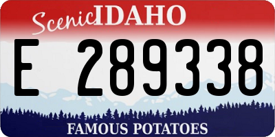 ID license plate E289338