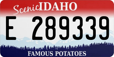 ID license plate E289339