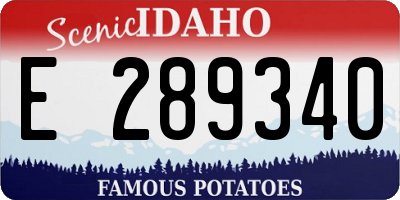 ID license plate E289340