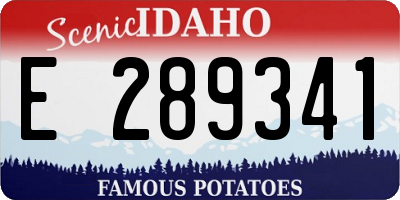 ID license plate E289341