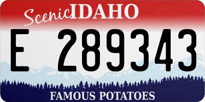 ID license plate E289343