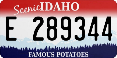 ID license plate E289344