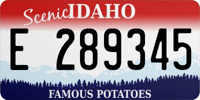 ID license plate E289345