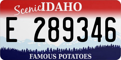 ID license plate E289346