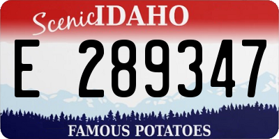 ID license plate E289347