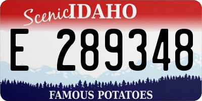 ID license plate E289348