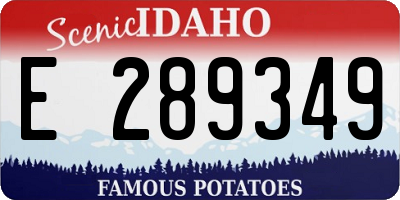 ID license plate E289349