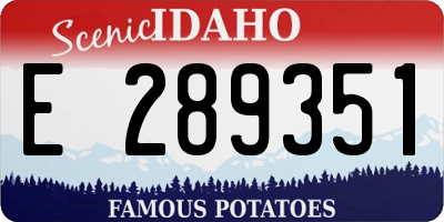 ID license plate E289351