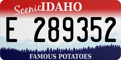 ID license plate E289352