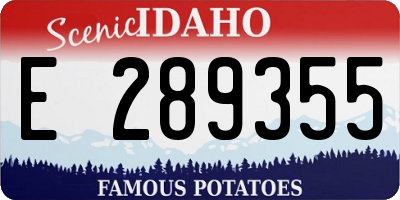 ID license plate E289355