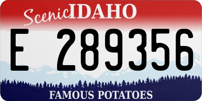 ID license plate E289356