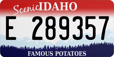 ID license plate E289357