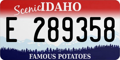 ID license plate E289358