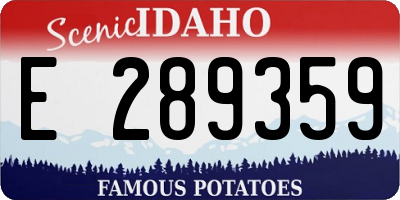 ID license plate E289359