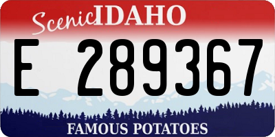 ID license plate E289367