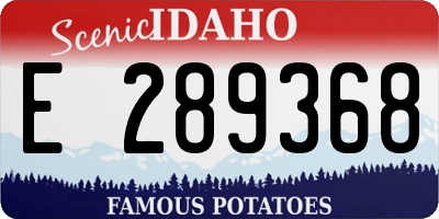 ID license plate E289368