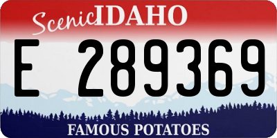 ID license plate E289369