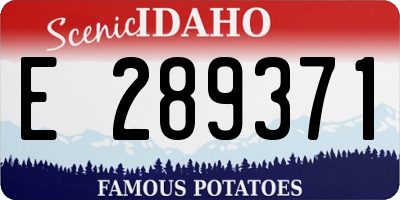 ID license plate E289371