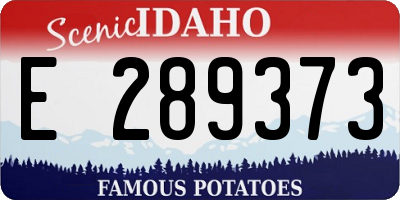 ID license plate E289373