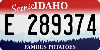 ID license plate E289374
