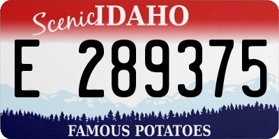 ID license plate E289375