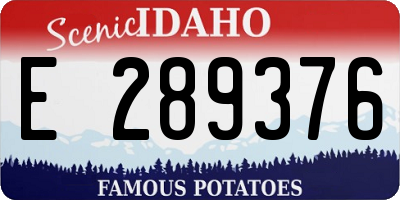 ID license plate E289376