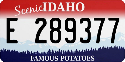 ID license plate E289377