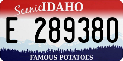ID license plate E289380