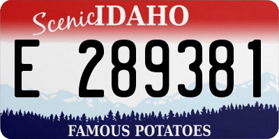 ID license plate E289381