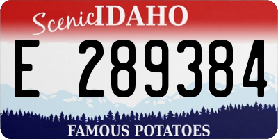 ID license plate E289384