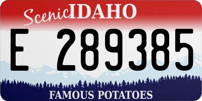 ID license plate E289385