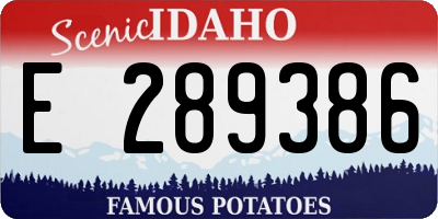 ID license plate E289386