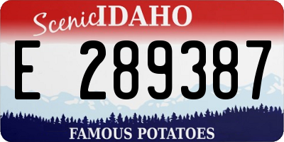 ID license plate E289387