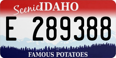 ID license plate E289388