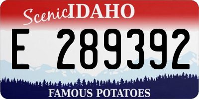 ID license plate E289392