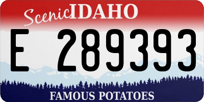 ID license plate E289393