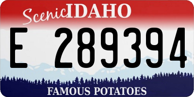 ID license plate E289394