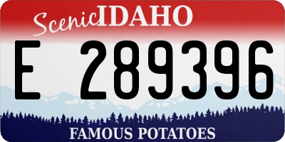 ID license plate E289396