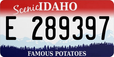 ID license plate E289397