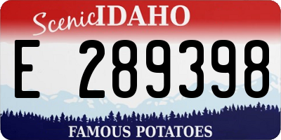 ID license plate E289398