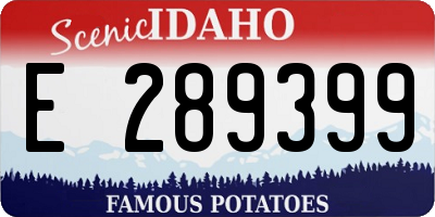 ID license plate E289399