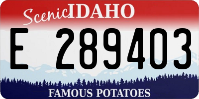 ID license plate E289403